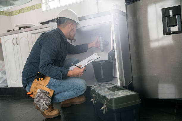 Best Residential Plumbing Services  in Wyoming, DE