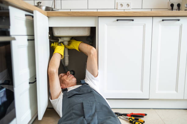 Best Local Plumber Services  in Wyoming, DE