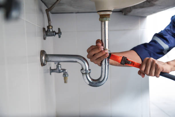 Best Plumbing Inspection Services  in Wyoming, DE