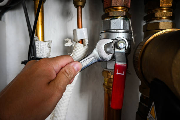 Best Toilet Repair Services  in Wyoming, DE